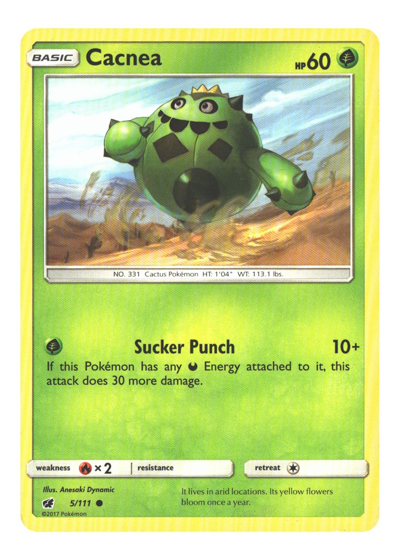 5/111 Cacnea Common Normal