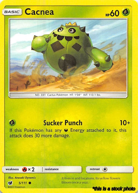 Cacnea