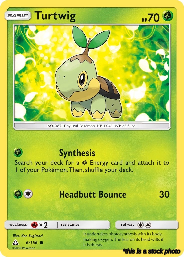 Turtwig (6)