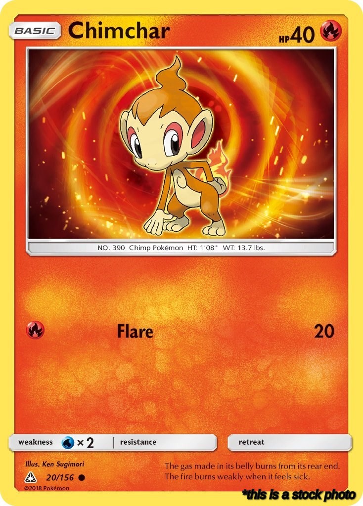 Chimchar (20)