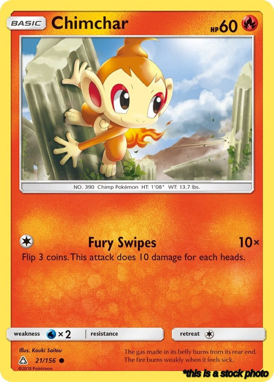 Chimchar (21)