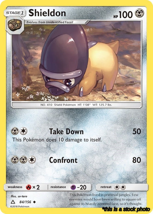 Shieldon