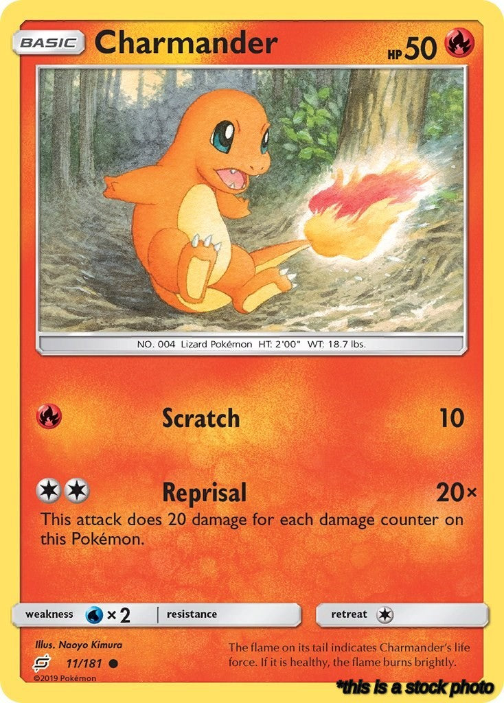 Charmander (11)
