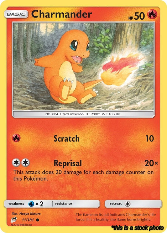 Charmander (11)
