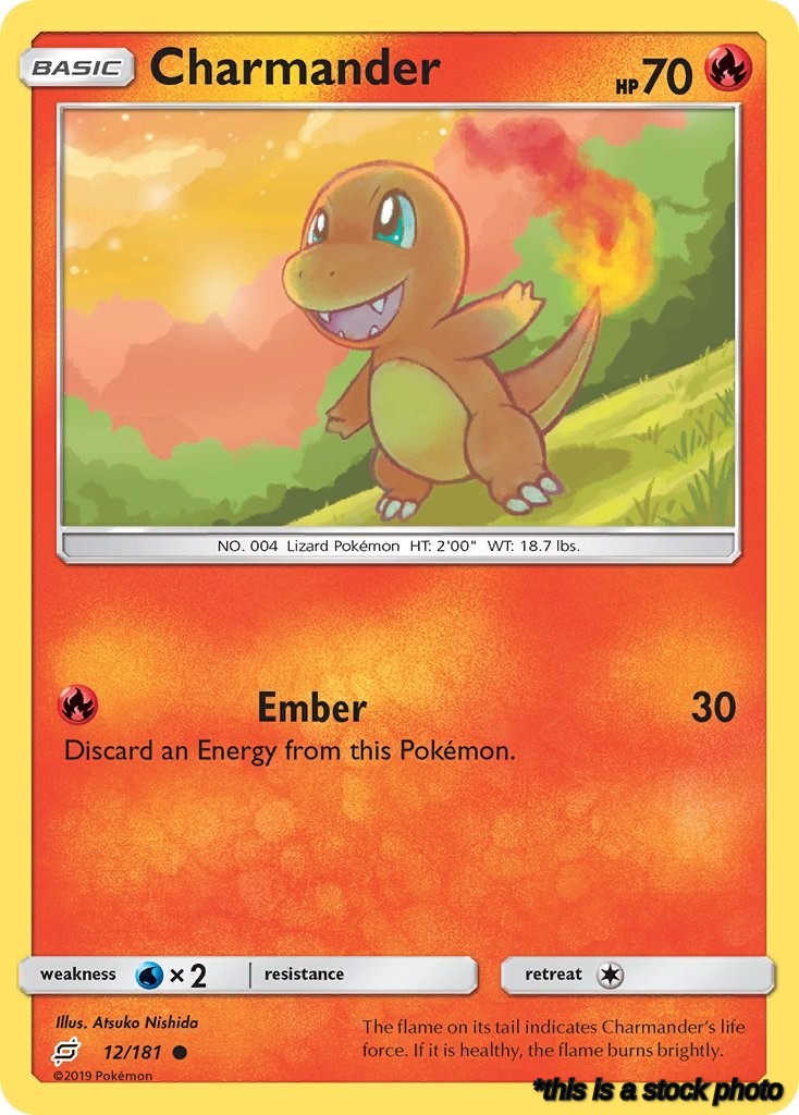 Charmander (12)