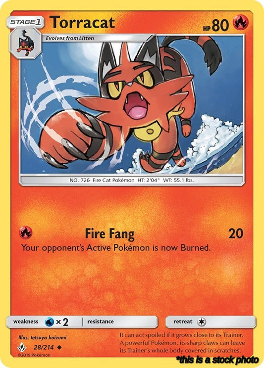 Torracat