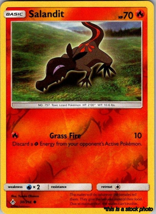 Salandit