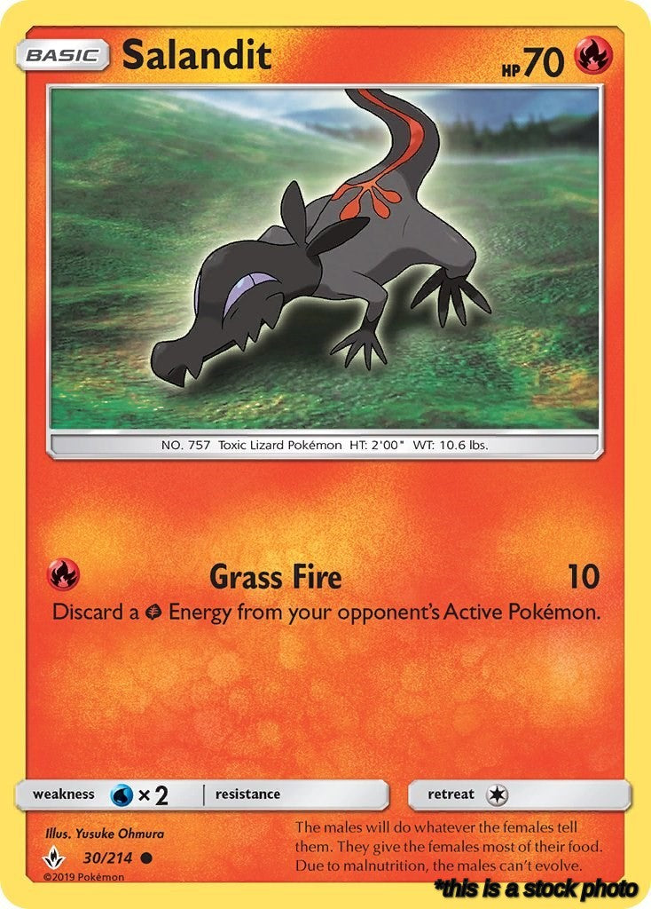 Salandit