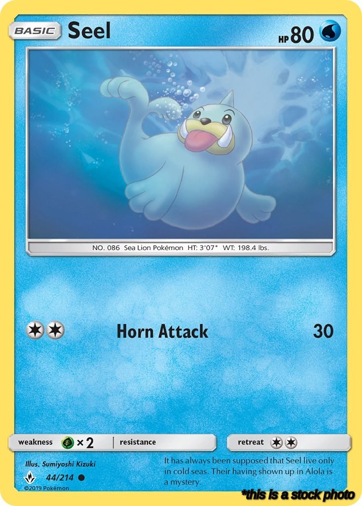 Seel