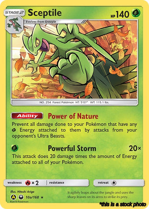 010a/168 Sceptile Promo Holofoil
