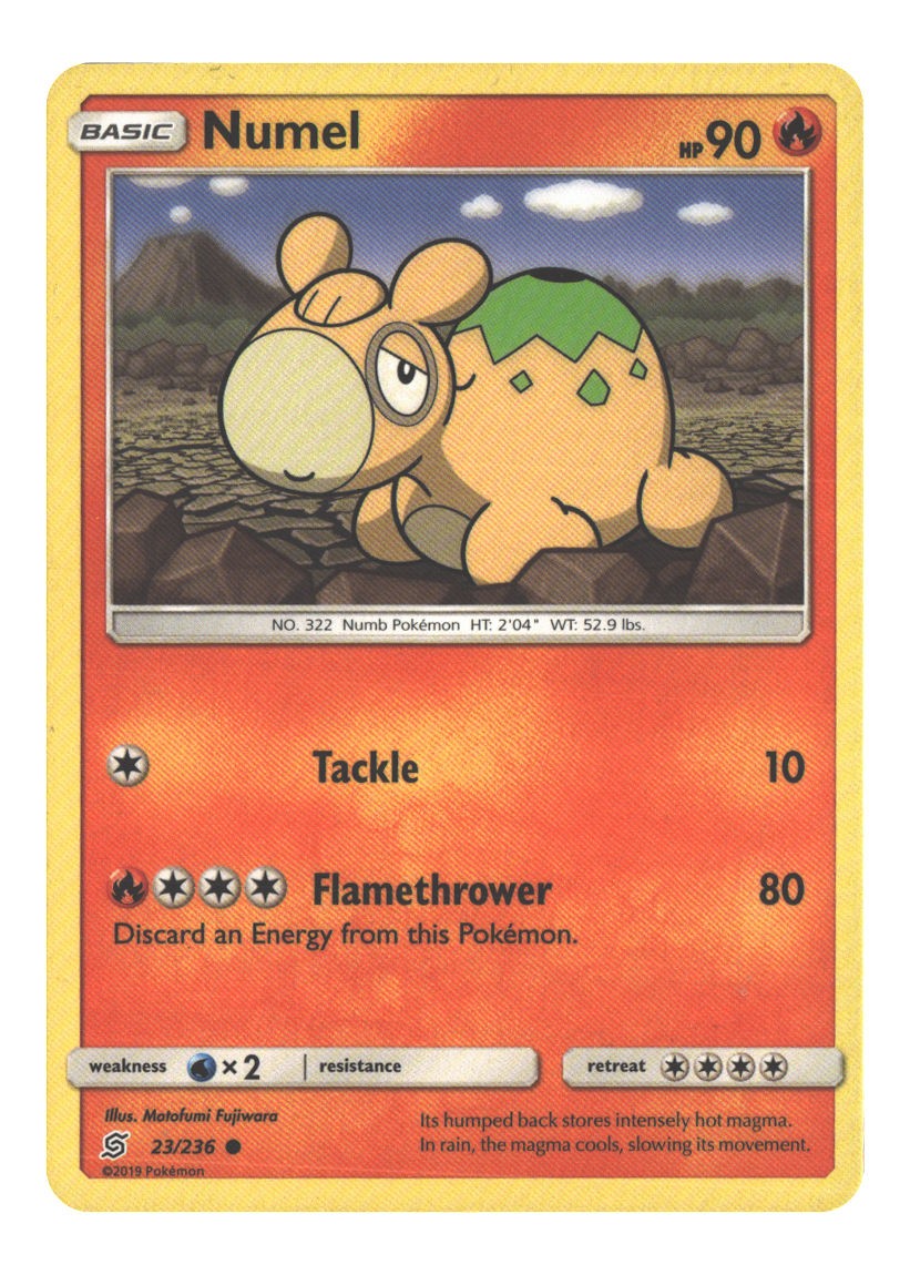 23/236 Numel Common Normal