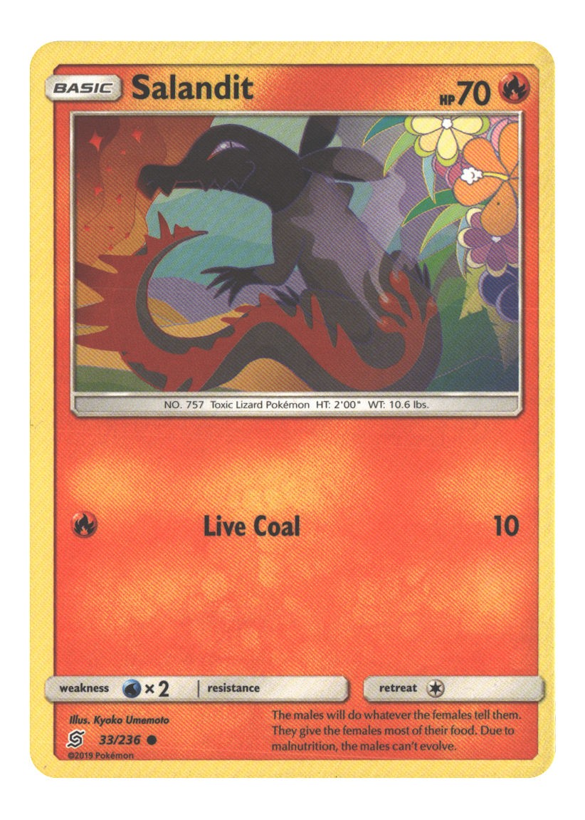 Salandit (33)