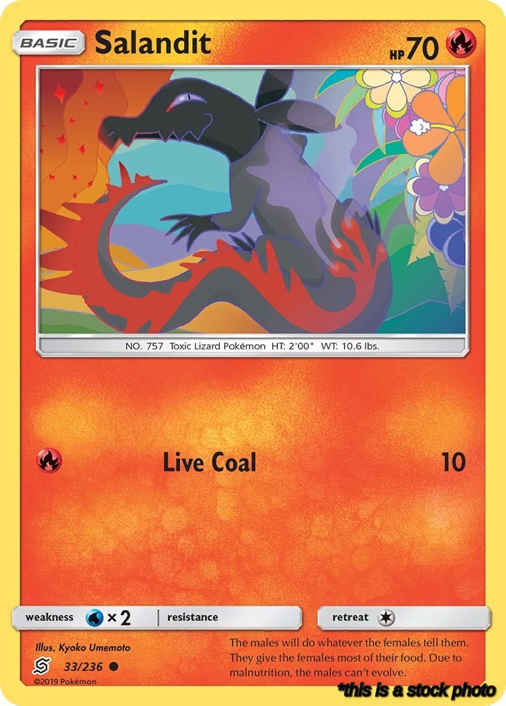 Salandit (33)