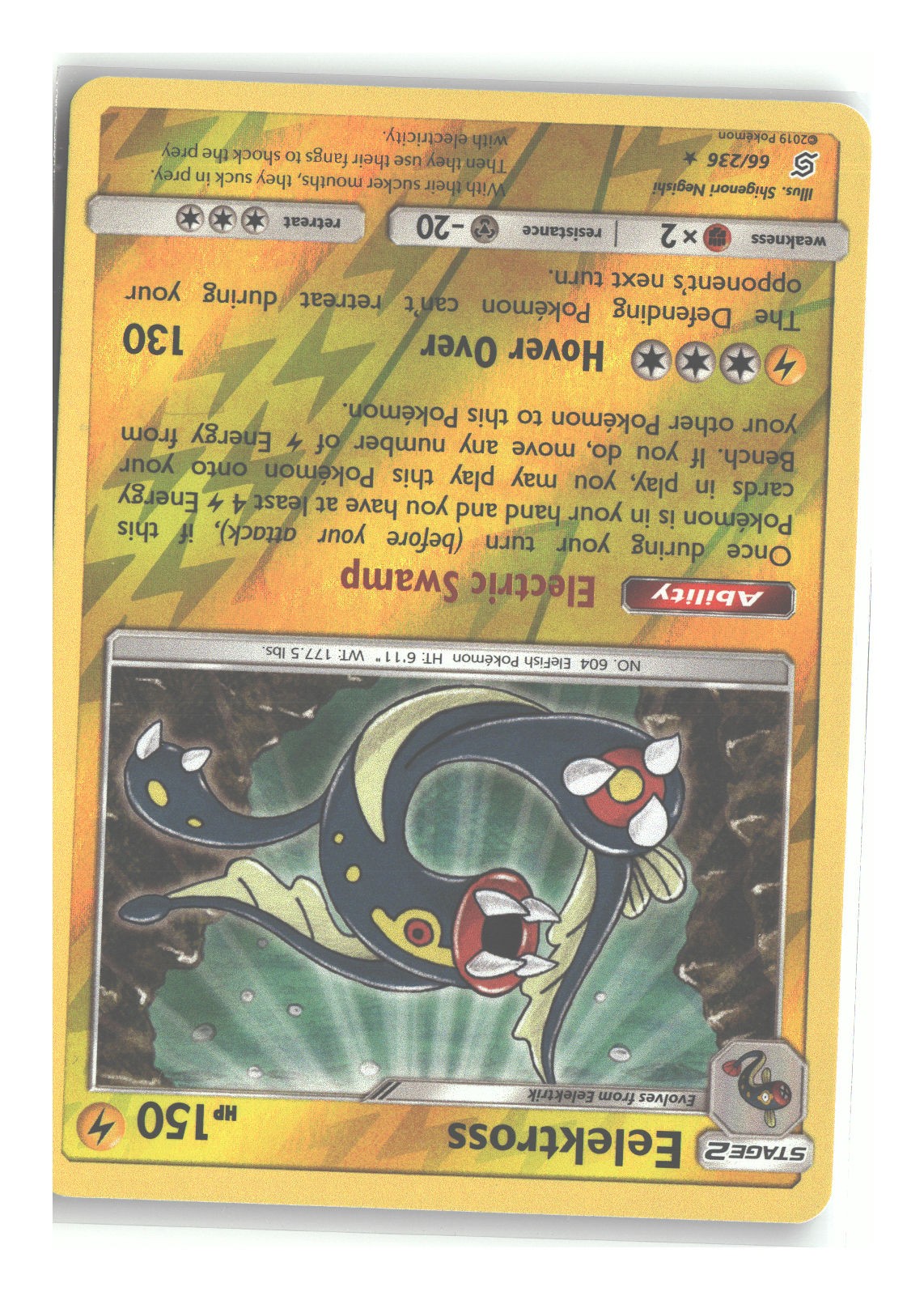 66/236 Eelektross Holo Rare Reverse Holofoil