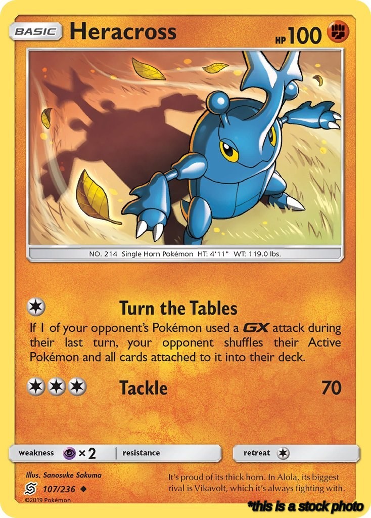 Heracross