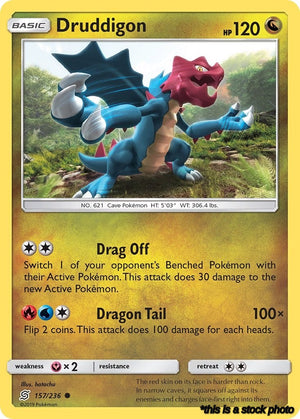 Normal Druddigon [157/236 Lightly Played ]