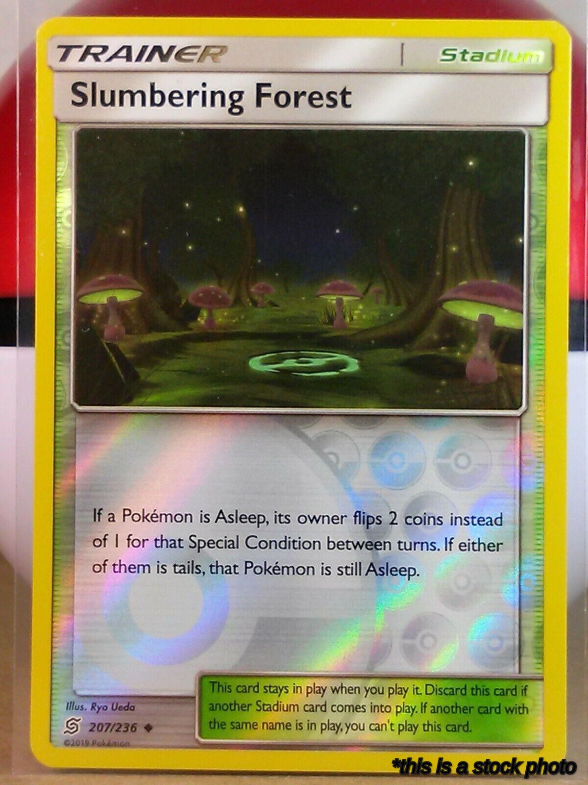 Slumbering Forest