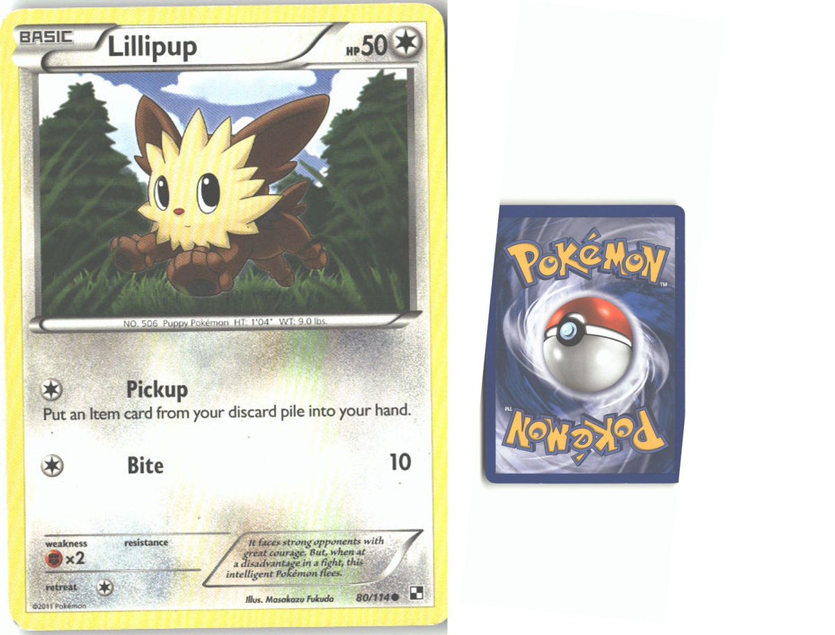 Front + Back scan
