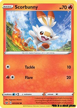 Holofoil Scorbunny - 031/202 (Premium Collection) [031/202 Lightly Played ]