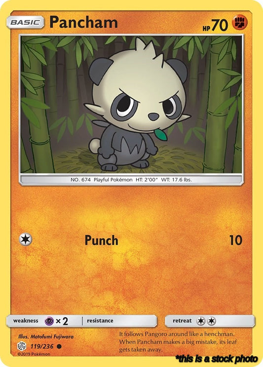 Common Pancham [119/236 Near Mint ]