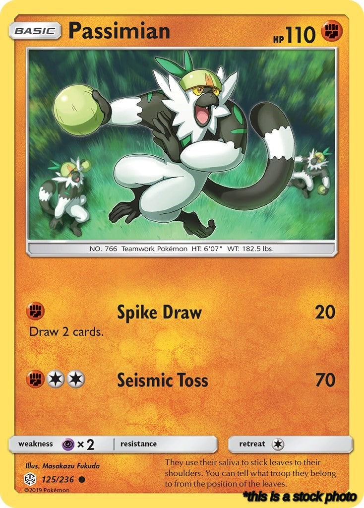 Passimian