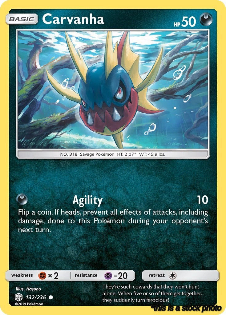 Common Carvanha [132/236 Near Mint ]