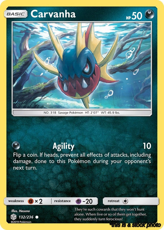 Common Carvanha [132/236 Near Mint ]