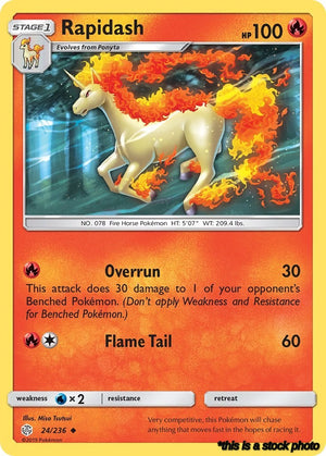 Normal Rapidash [24/236 Lightly Played ]