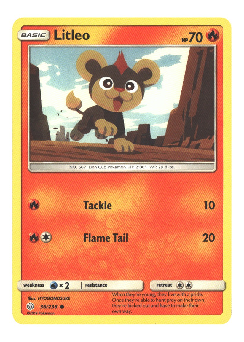 Litleo