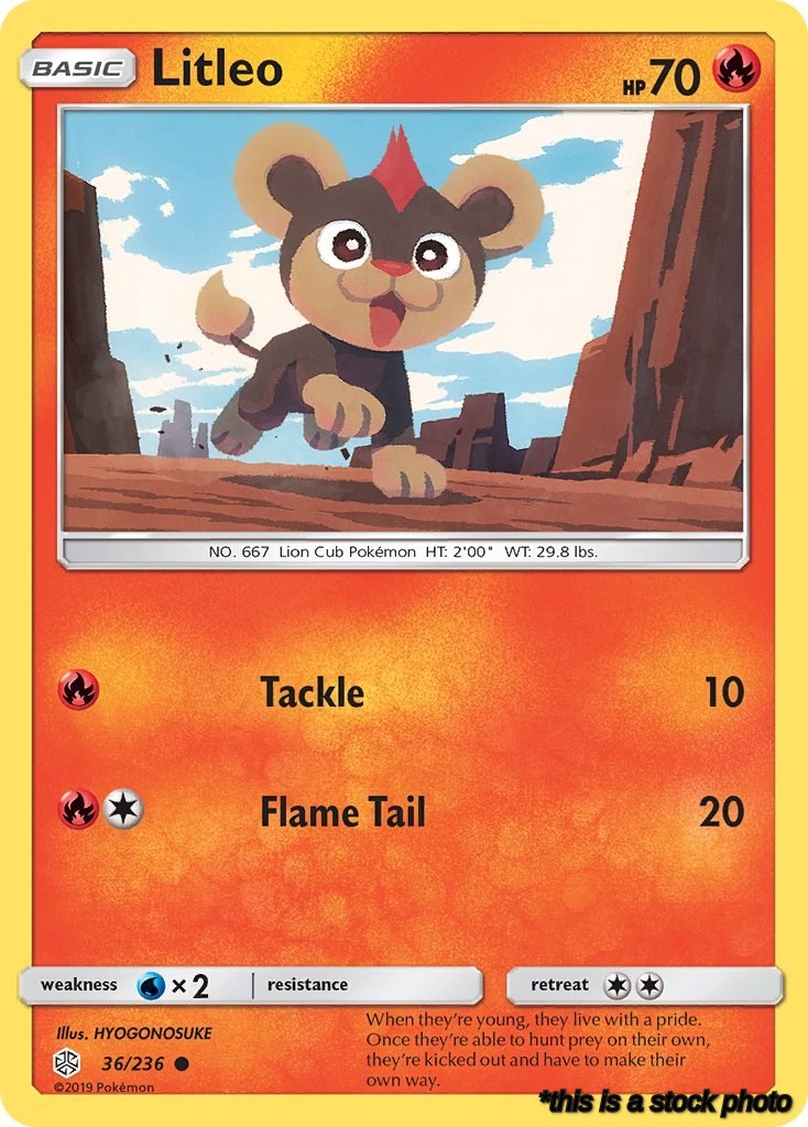 Litleo