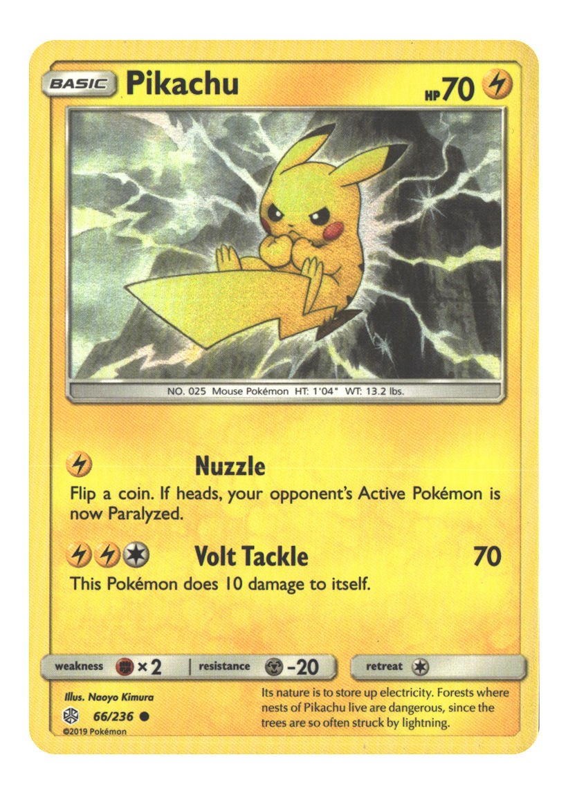 66/236 Pikachu Common Normal