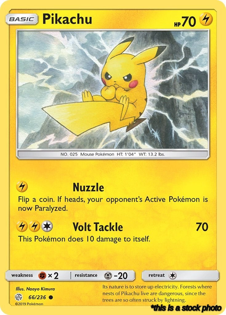 66/236 Pikachu Common Normal