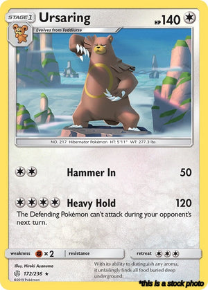 172/236 Ursaring Rare Normal