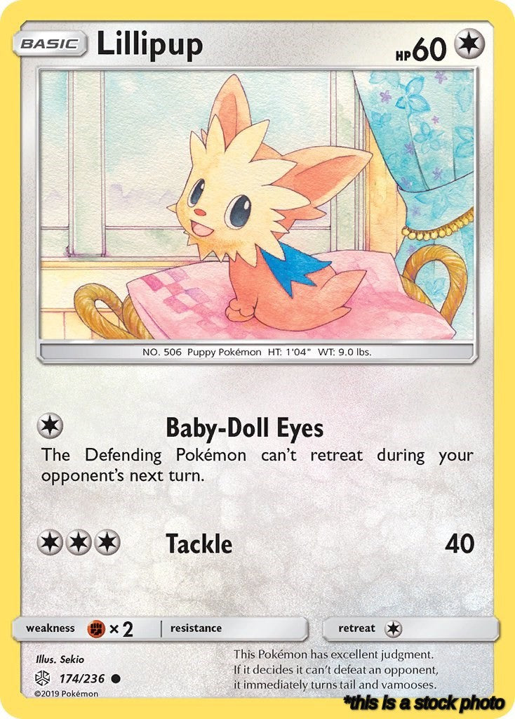 Normal Lillipup [174/236 Near Mint ]