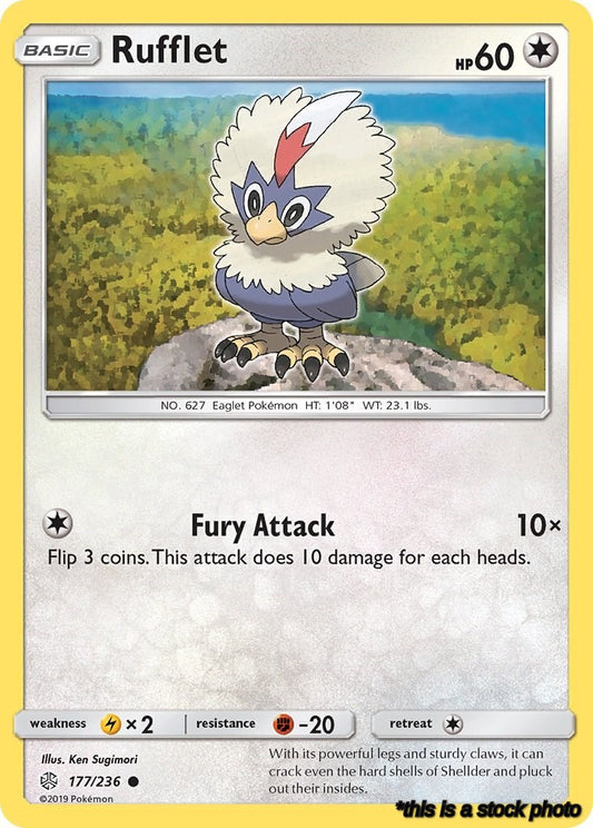 Common Rufflet [177/236 Near Mint ]