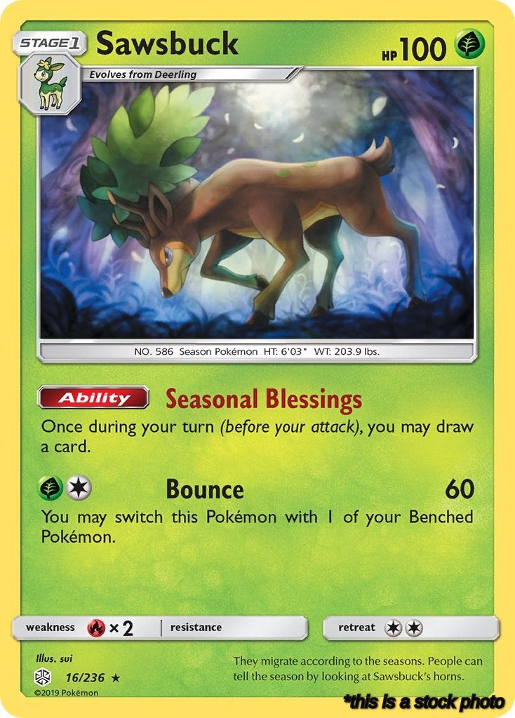Sawsbuck