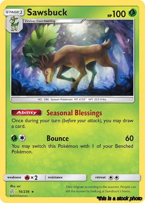 16/236 Sawsbuck Holo Rare Holofoil