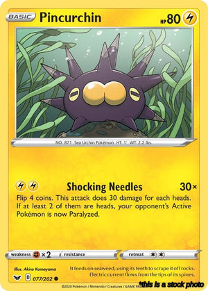 Common Pincurchin [077/202 Near Mint ]