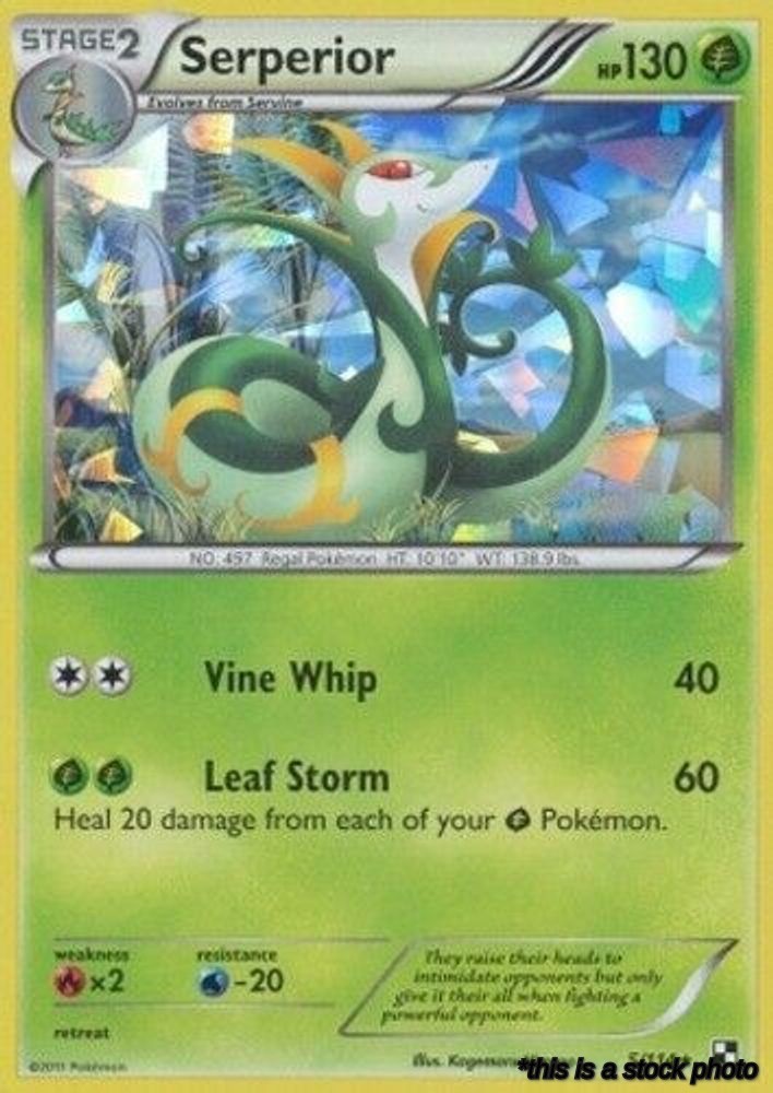 Holofoil Serperior - 5/114 (Cracked Ice Holo) [005/114 Lightly Played ]