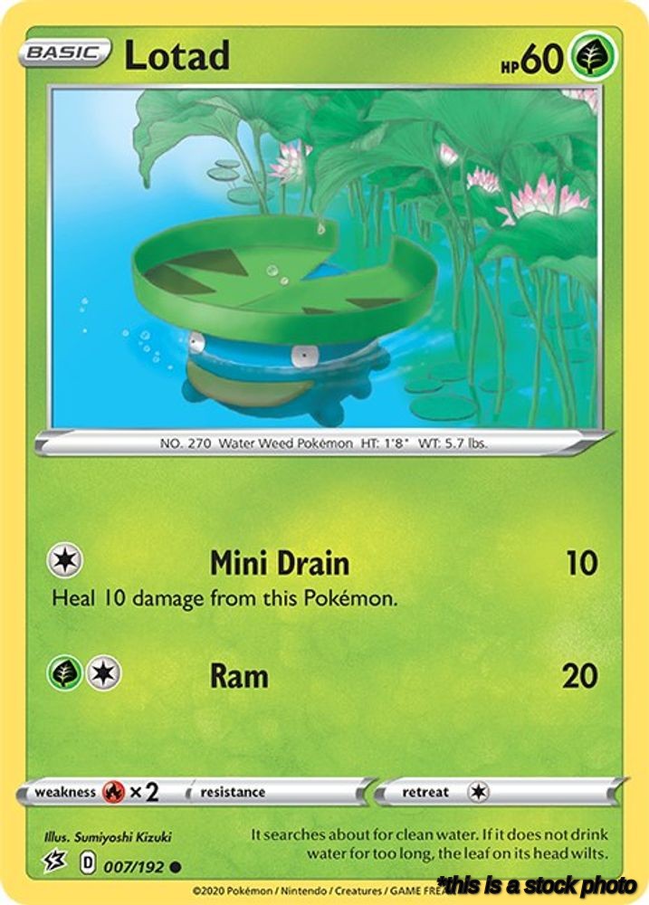 Lotad