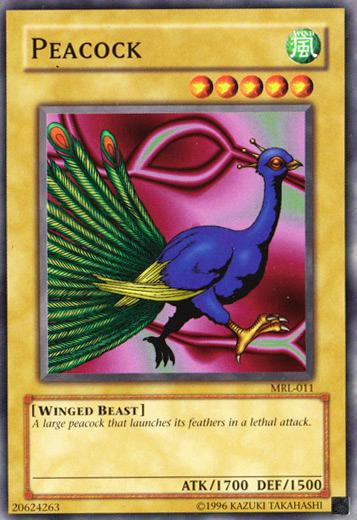 Peacock