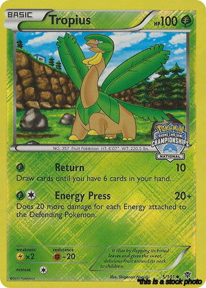 Promo Tropius - 5/101 (National Championships) [005/101 Near Mint ]