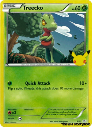 003/025 Treecko Promo Normal