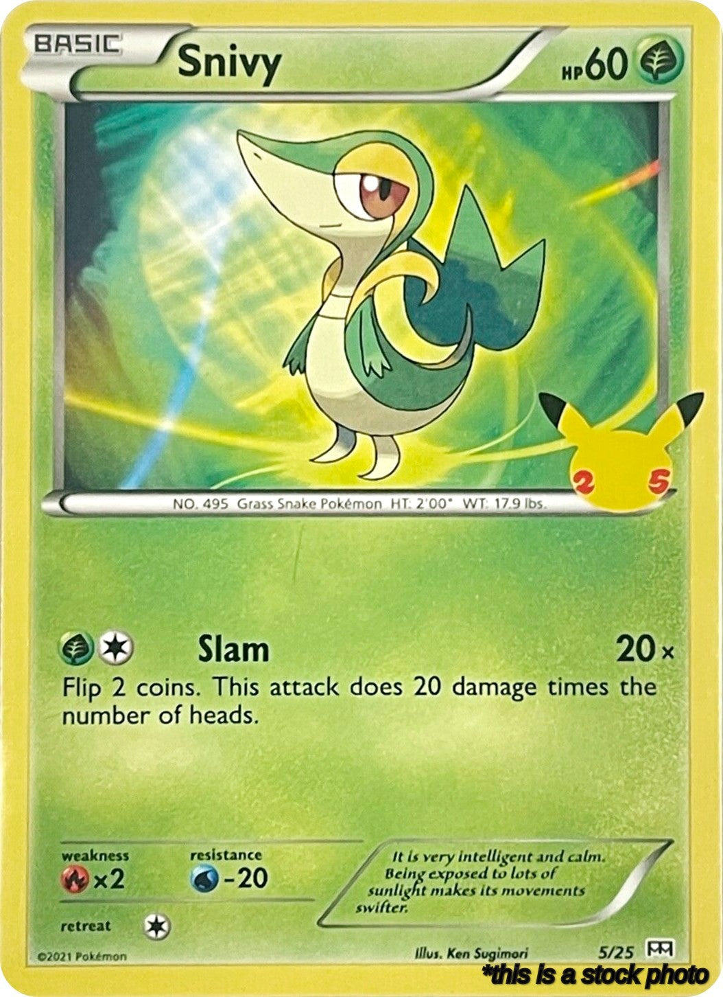 005/025 Snivy Promo Normal