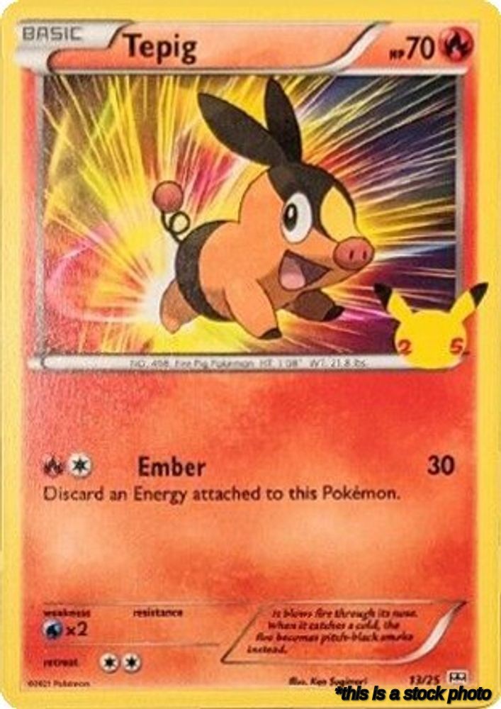 Holofoil Tepig - 13/25 [013/025 Lightly Played ]
