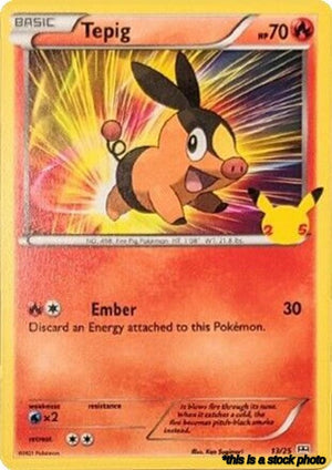 Holofoil Tepig - 13/25 [013/025 Lightly Played ]