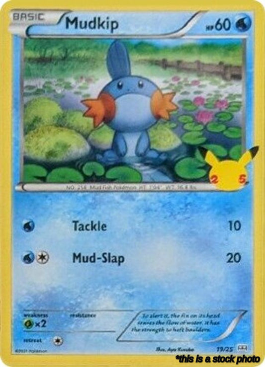 019/025 Mudkip Promo Normal