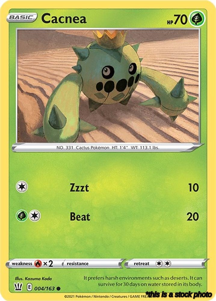 Cacnea