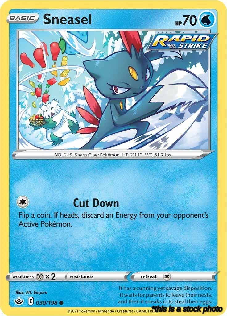 Normal Sneasel [030/198 Near Mint ]