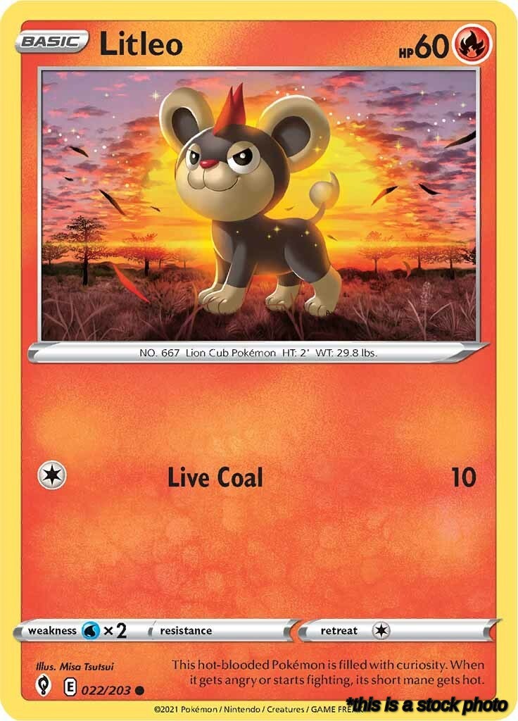 Litleo